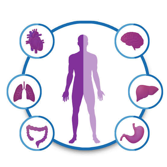 Comprehensive Health Checkup